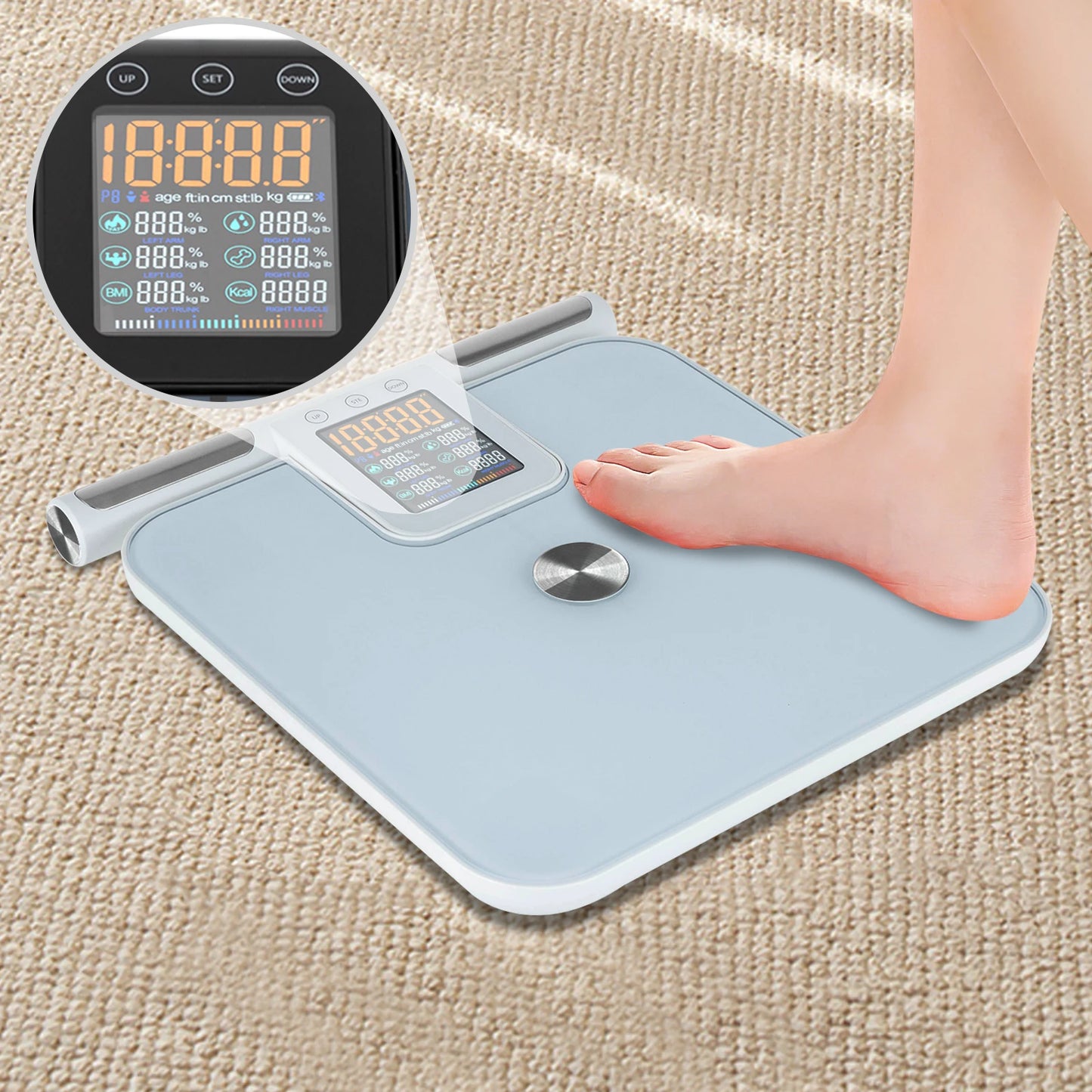 Smart Body Fat Scale with Bluetooth Connection for Pets Care