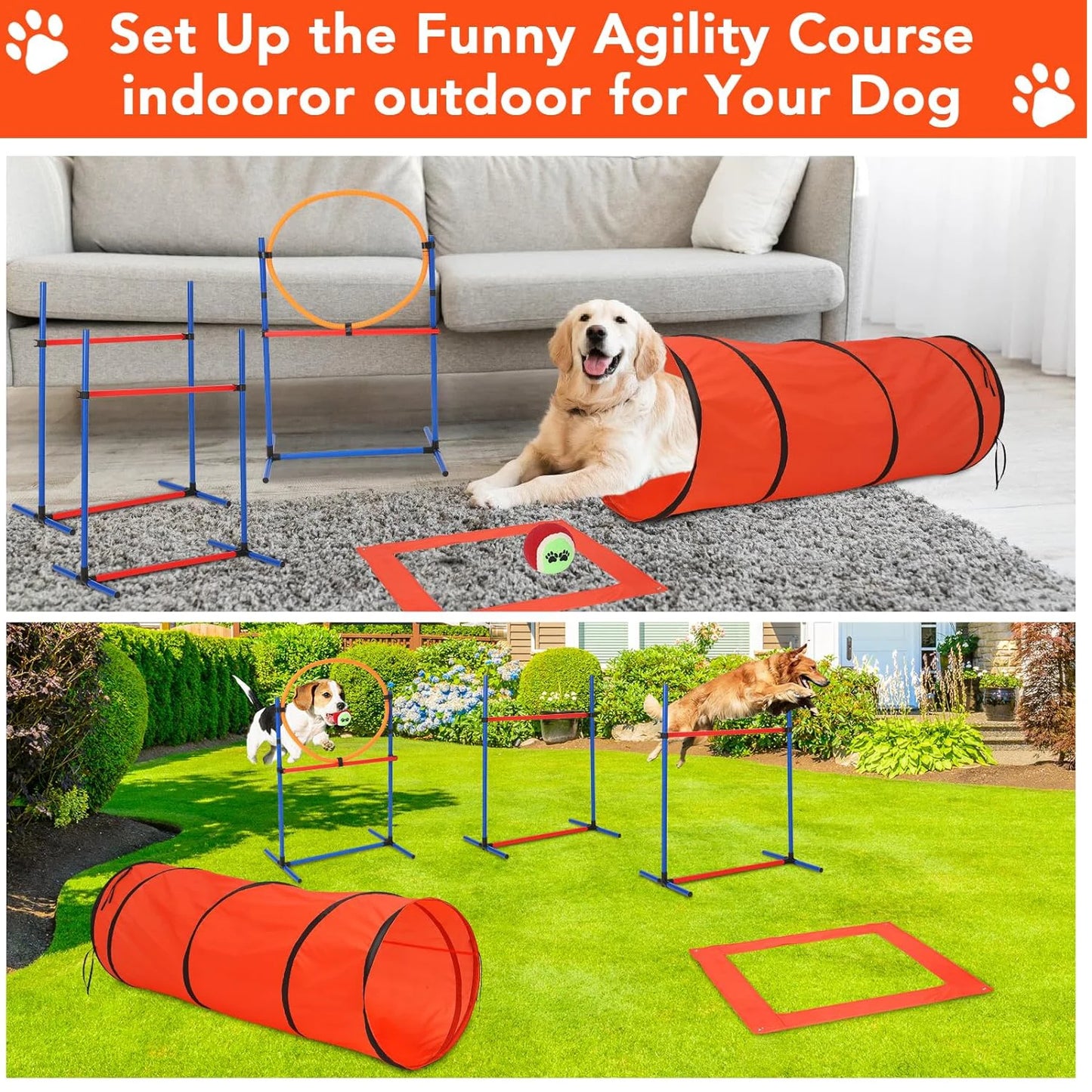 Dog Agility Training Equipment Set for Outdoor Fun