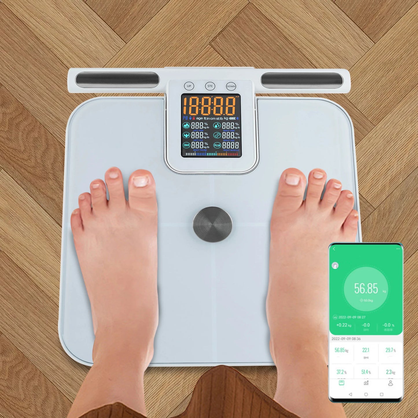 Smart Body Fat Scale with Bluetooth Connection for Pets Care
