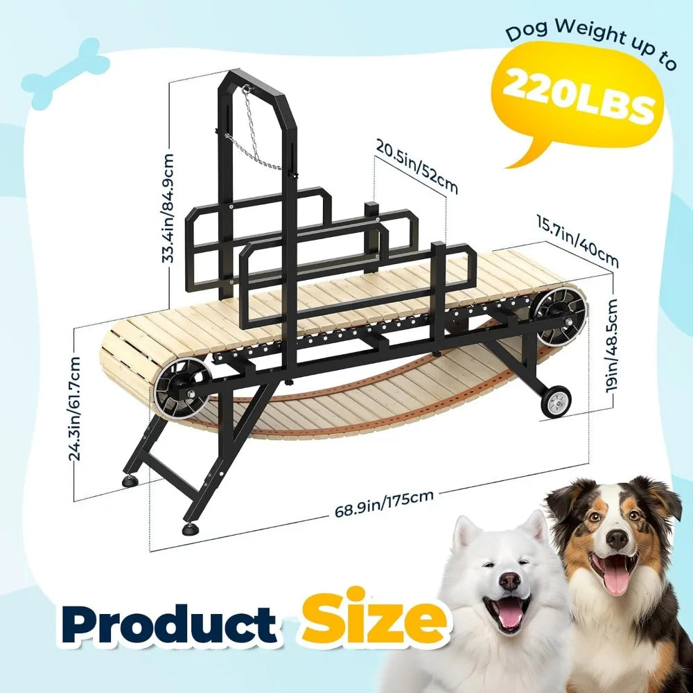 Hign-Concerned Dog Treadmill With 4 Level Adjustable Ramp