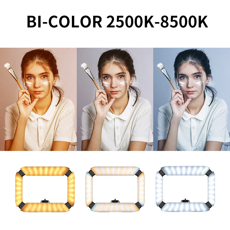 Ulanzi U200 Camera Ring Light Video Rig for Smartphone and GoPro