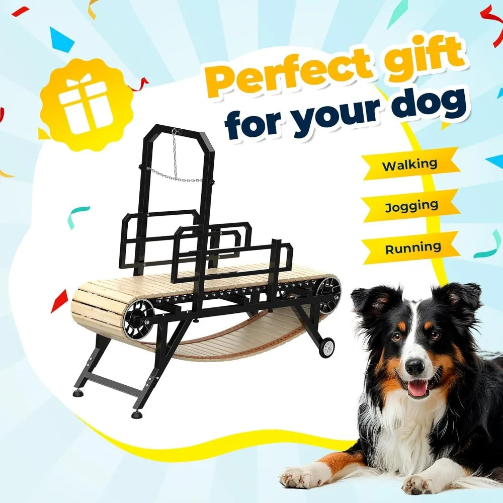 Hign-Concerned Dog Treadmill With 4 Level Adjustable Ramp