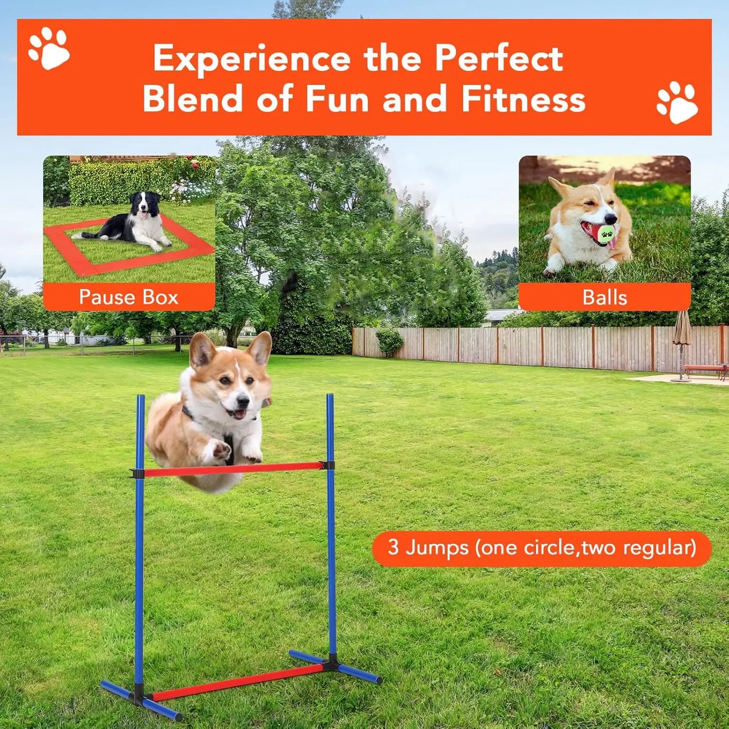 Dog Agility Training Equipment Set for Outdoor Fun