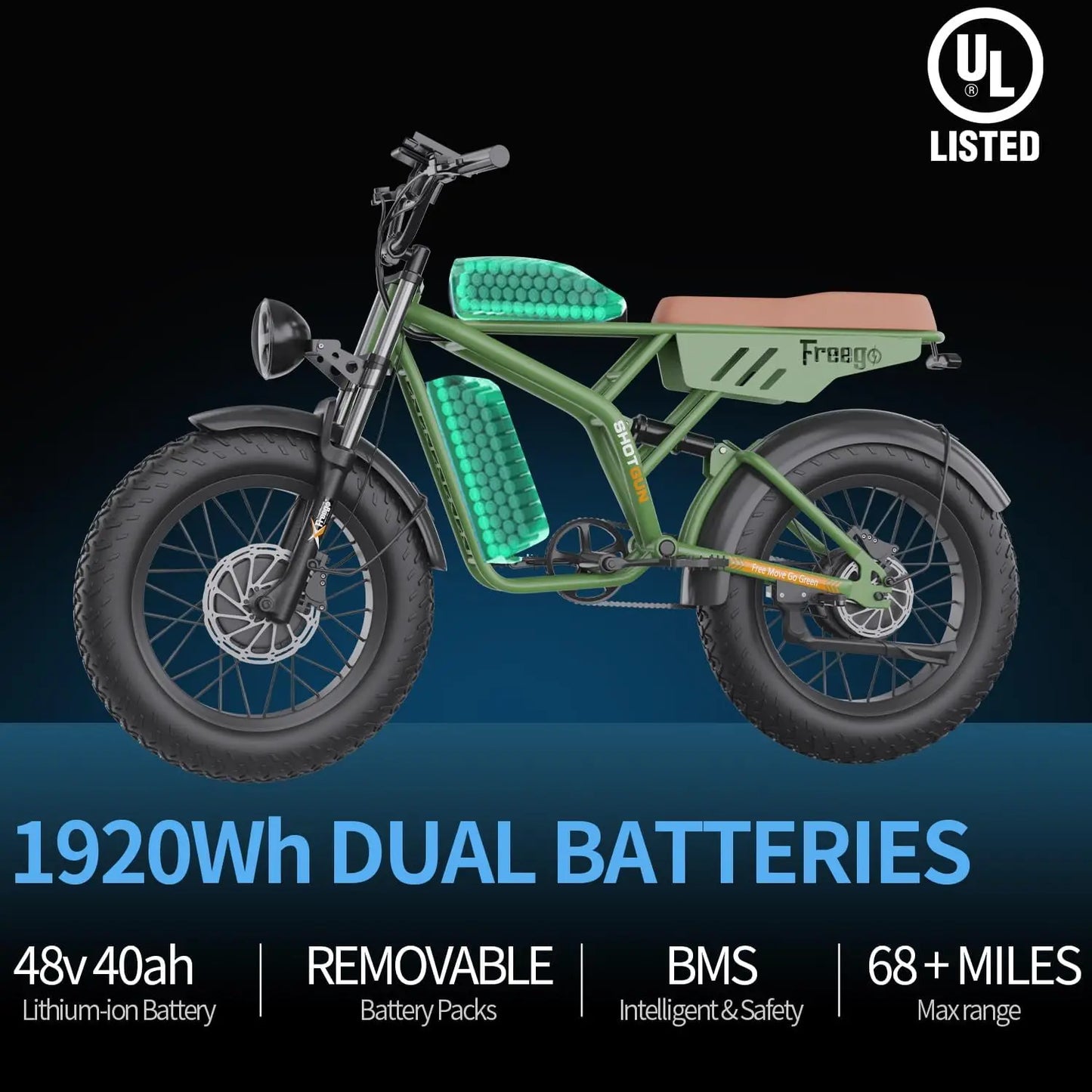Freego F3 Retro Electric Bike Dual Motor 1000W 48V Battery