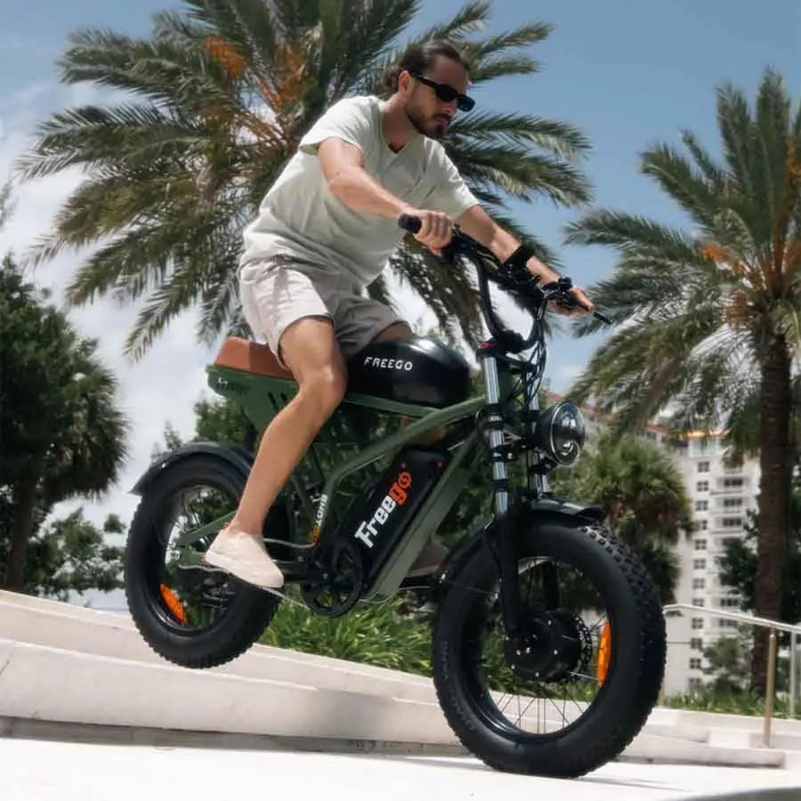 Freego F3 Retro Electric Bike Dual Motor 1000W 48V Battery