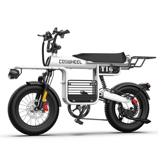 Coswheel T16 Electric Fat Tire E Bike 1000W 48V 20Ah