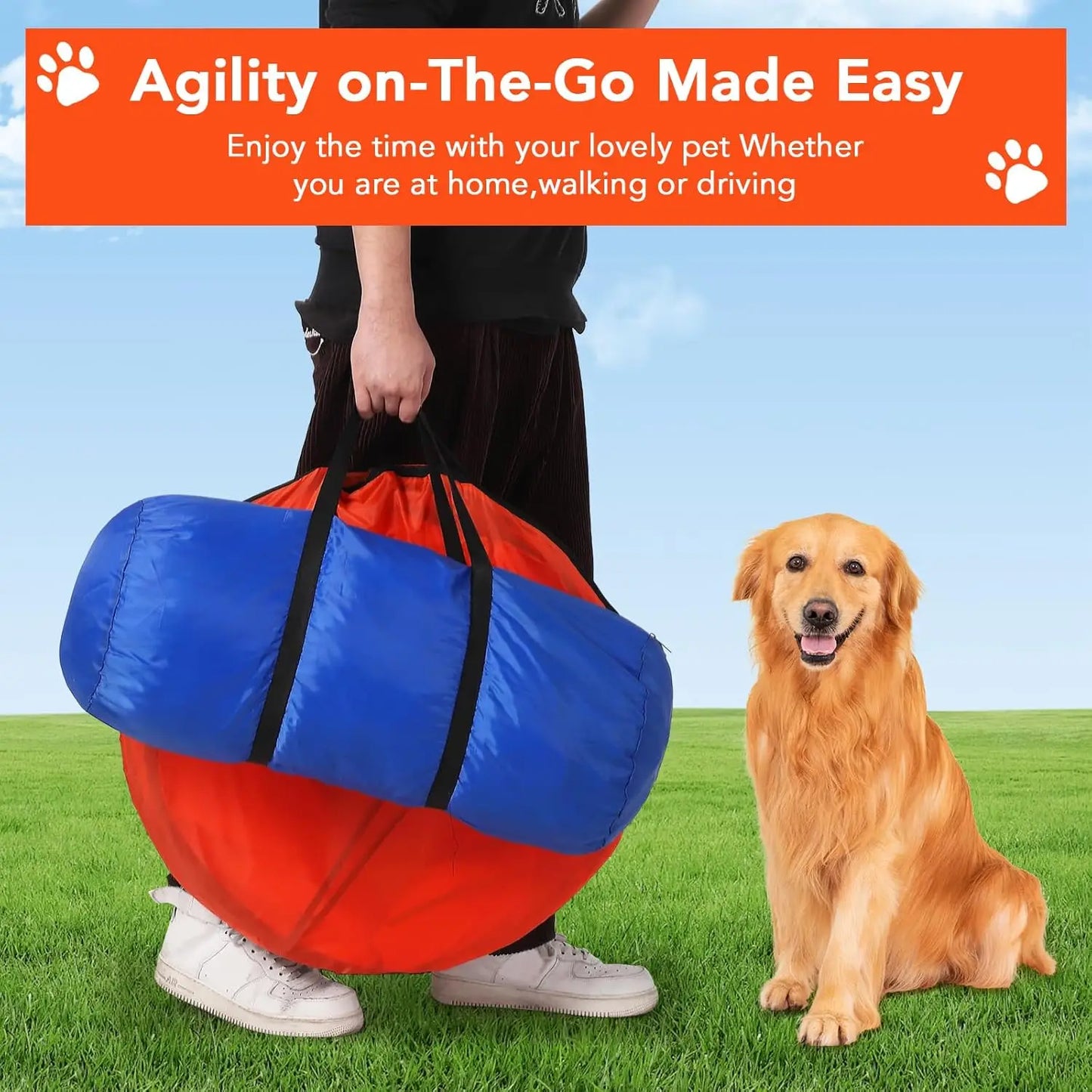 Dog Agility Training Equipment Set for Outdoor Fun