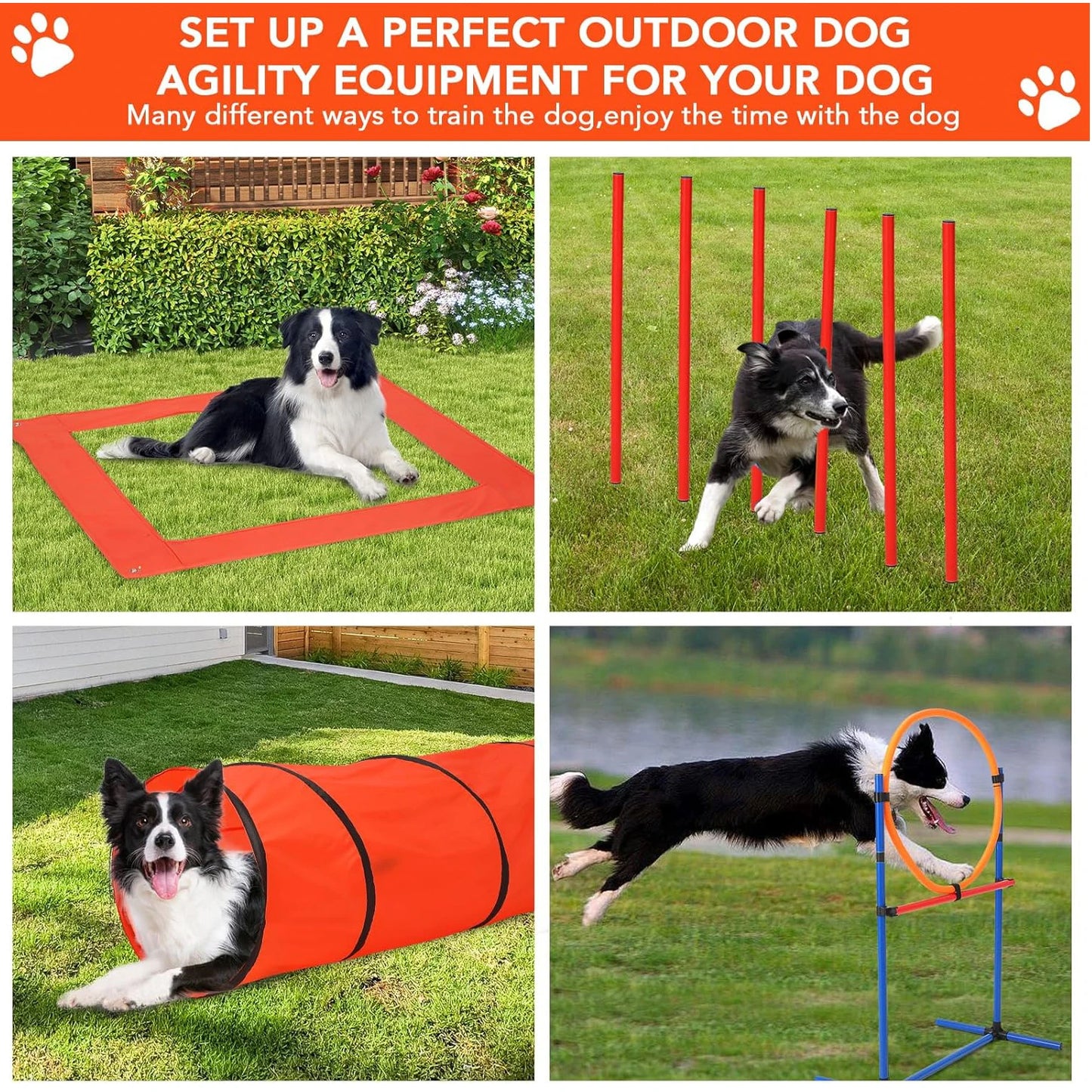 Dog Agility Training Equipment Set for Outdoor Fun