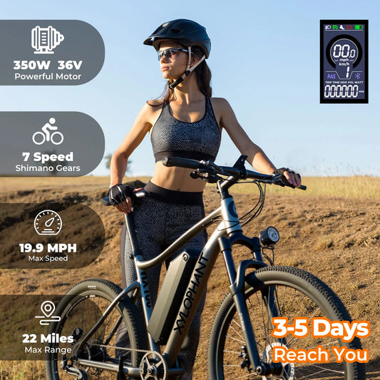 LELEKUAIFolded Mountain Electric Bike 350W Brushless 360Wh